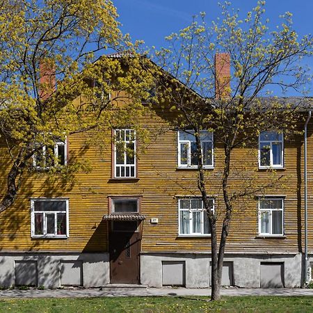 Fresh Unit, High Quality Design. Apartamento Talin Exterior foto